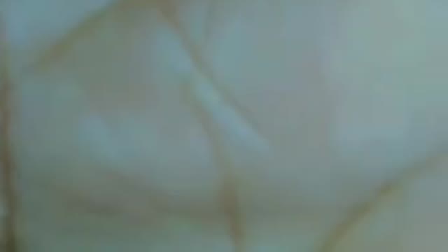New Premium Video 691